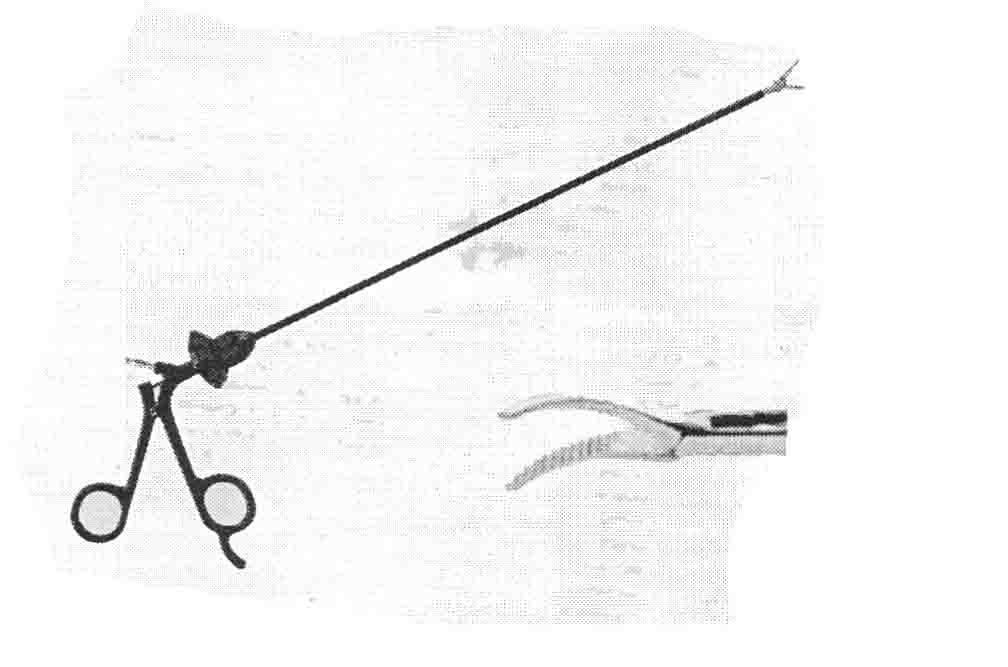 DİSEKSİYON VE KAVRAMA FORSEPS TIRTILLI DİŞ DUBLE ACTİON 5MM